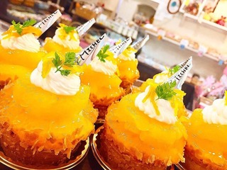 BD7B638F-A668-407F-88A9-8266812AB7B7.jpeg